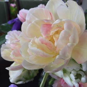 Meet your Posher, Ruth